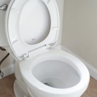 Circle Image Toilet